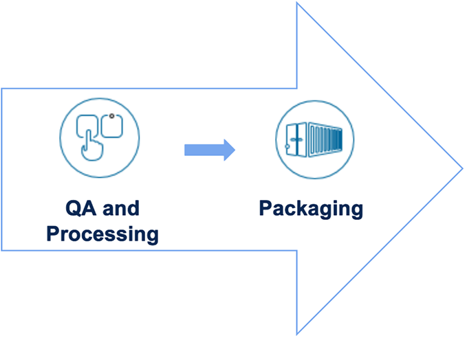 Unlocking CPG warehouse management innovations with edge